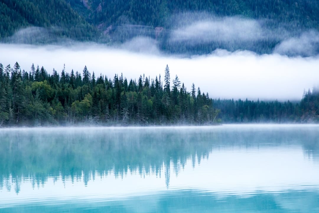 découvrez la beauté et la diversité de la nature à travers des paysages saisissants, des espèces fascinantes et des écosystèmes riches. plongez dans un voyage captivant au cœur de la faune et de la flore pour mieux comprendre et apprécier notre environnement.