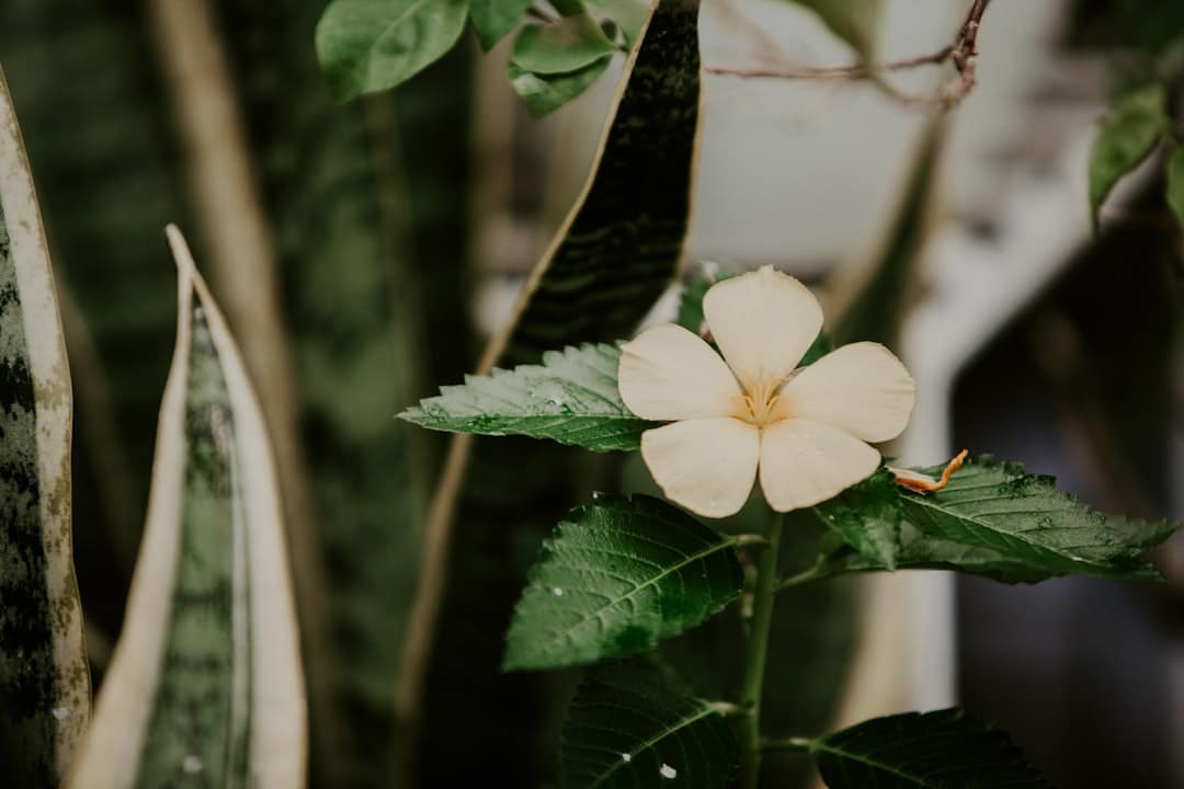 découvrez l'élégance des imprimés floraux qui ajoutent une touche de fraîcheur et de couleur à votre garde-robe. explorez nos styles variés, adaptés à toutes les occasions et à toutes les saisons.