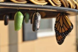 découvrez les meilleures stratégies et pratiques pour réussir le changement organisationnel. apprenez à gérer la transition, impliquer vos équipes et atteindre vos objectifs avec succès.