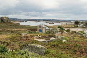 découvrez le charme intemporel des maisons en pierre, conjuguant authenticité et élégance. ces habitations, avec leur esthétique rustique et leur durabilité, vous séduiront par leur capacité à s'intégrer harmonieusement dans des paysages variés.